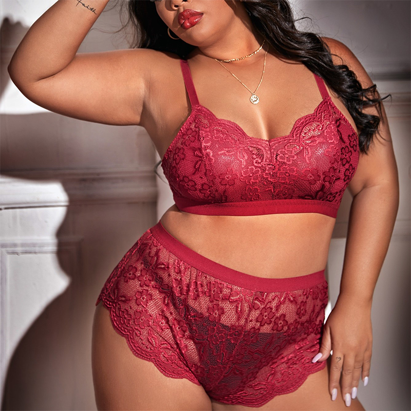 Plus Size Seduction Lace Cutout See-Through Suit