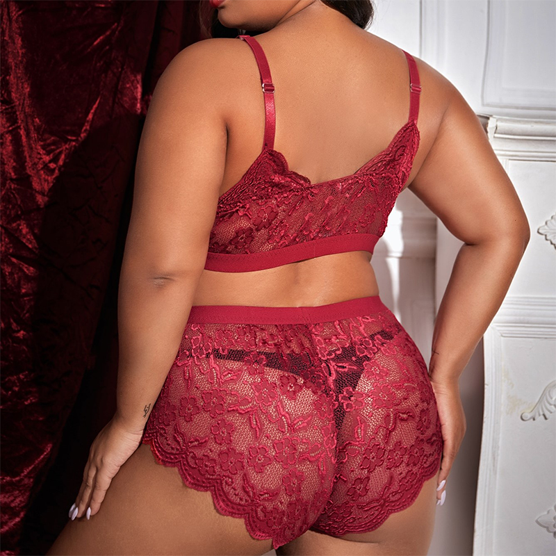 Plus Size Seduction Lace Cutout See-Through Suit