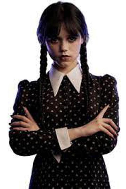 Black Braided Wednesday Adams Long Hair Wig