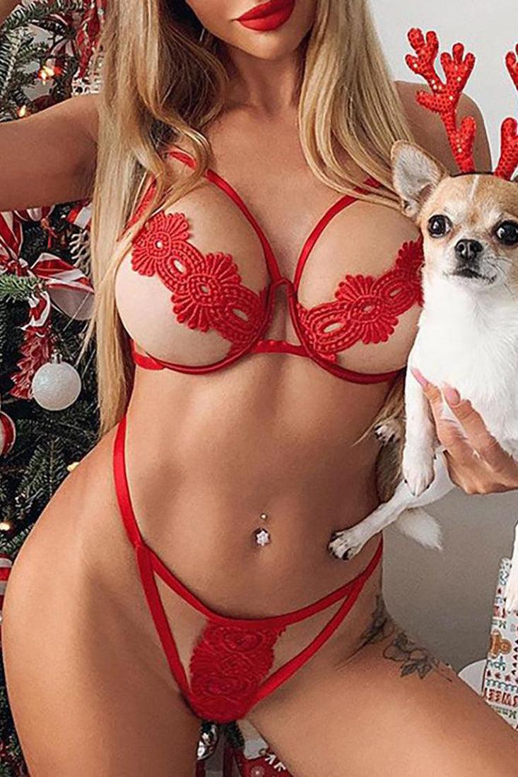 Sexy Red Hollow Out Lace 2 Pc Lingerie Set